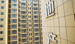 郑州刘女士最新爆料,揭秘某事件背后惊人真相